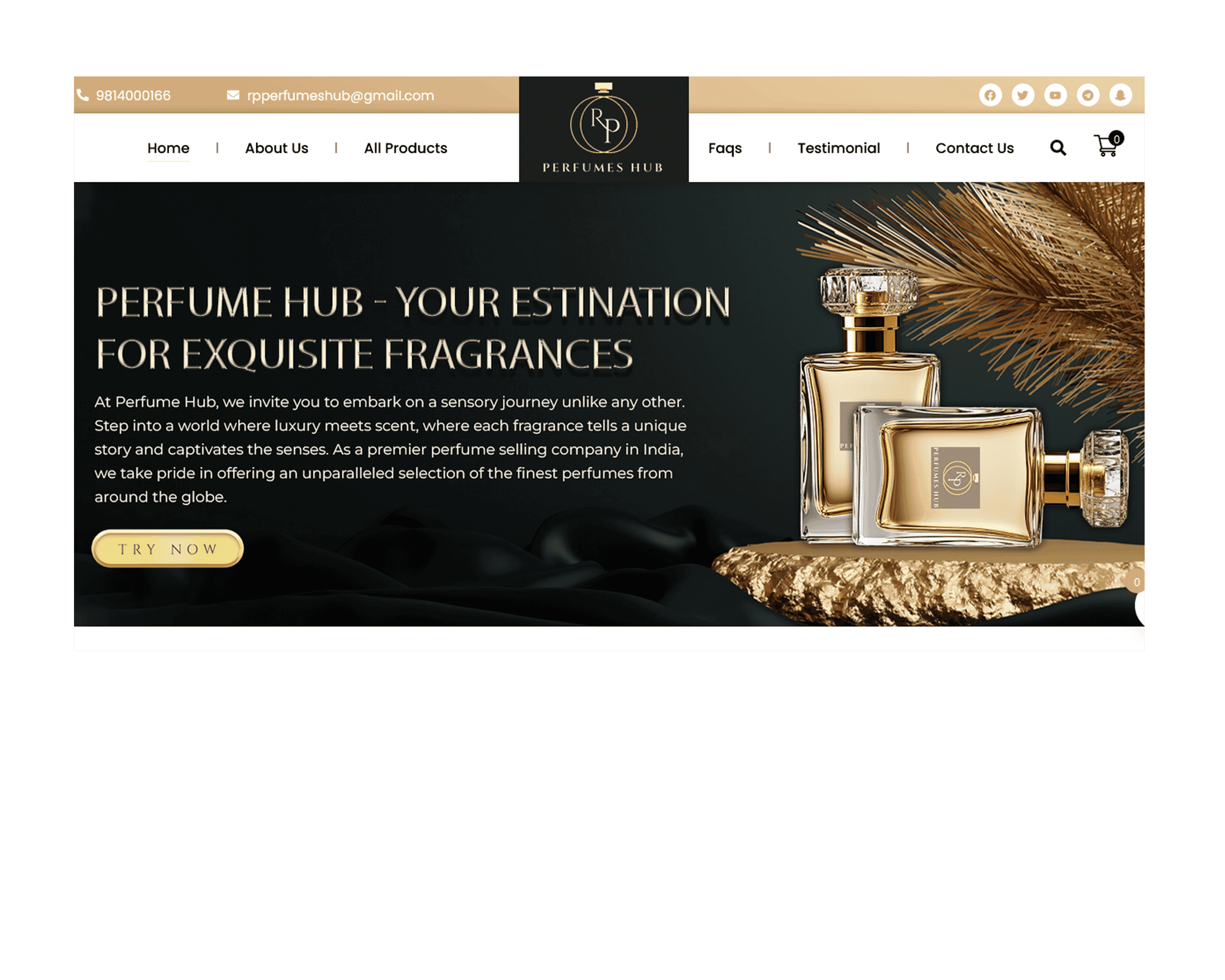 SEO Website Preview 3