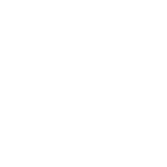 Car Rentals