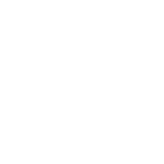 Nut Bolts