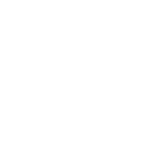 Steel