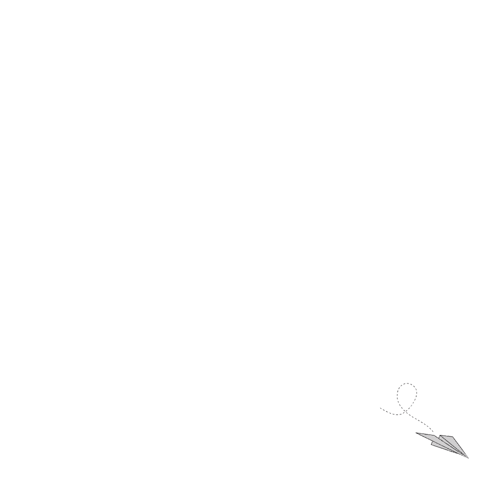Plane Icon