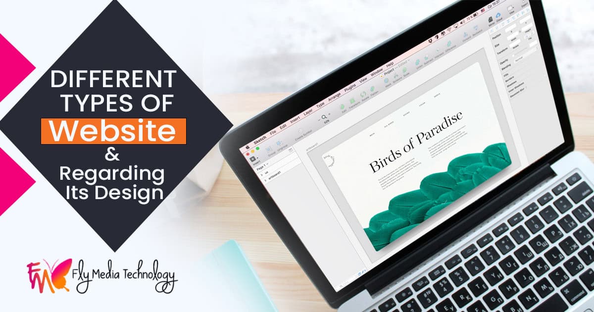 Types Of Website And Regarding Its Design
