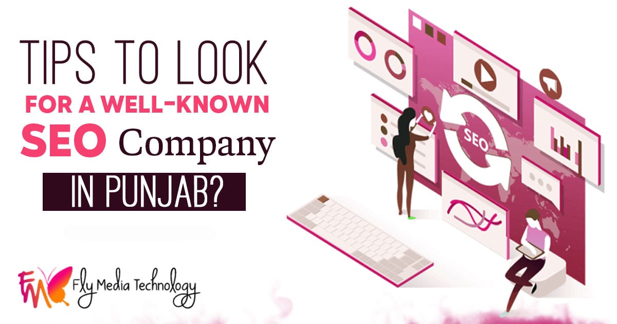 Tips To Look Seo Agency In Punjab