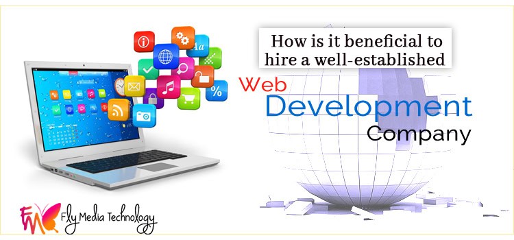 Hire Web Development Company