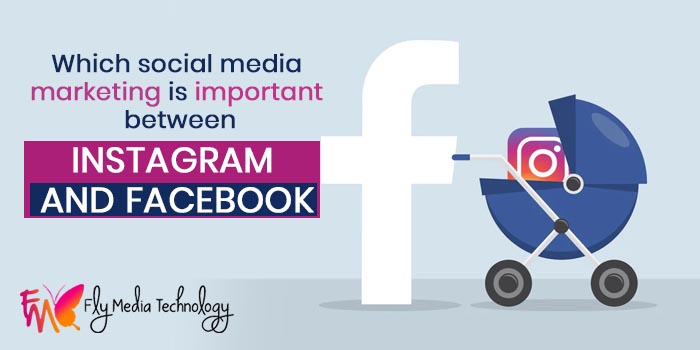 Which Social Media Marketing Is Important Between Instagram And Facebook