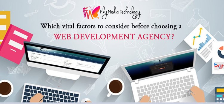 Which Vital Factors To Consider Before Choosing A Web Development Agency
