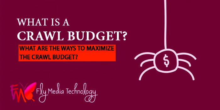 Crawl Budget And Ways To Maximize The Crawl Budget