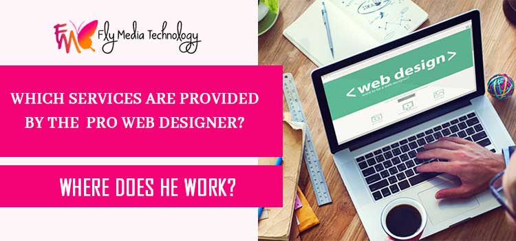 Which Services Are Provided By The Pro Web Designer Where Does He Work