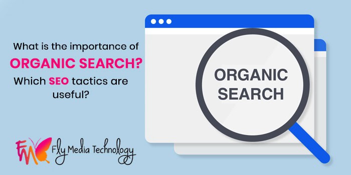 Importance Of Organic Search Which Seo Tactics Are Useful