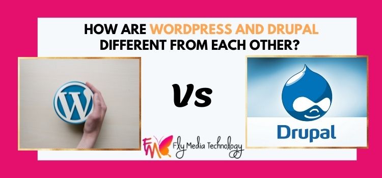 Difference B W Wordpress And Drupal