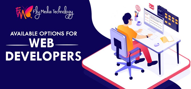 Available Options For Web Developers