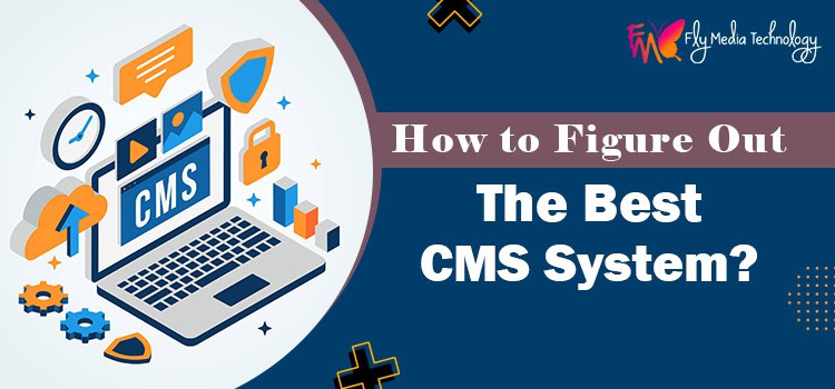 5 Important Factors For Choosing The Best Cms