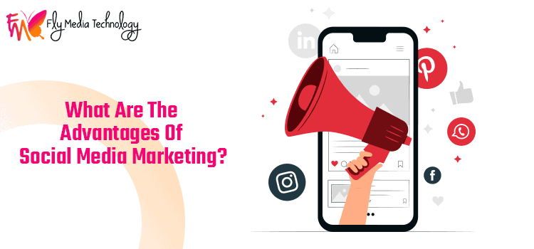 Professional Social Media Marketing Plan To Enhance Business Profit