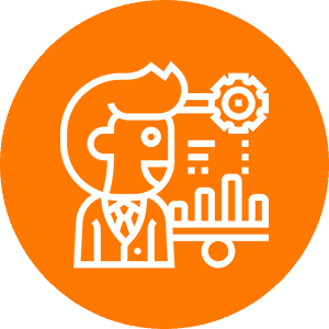 System Analyst
