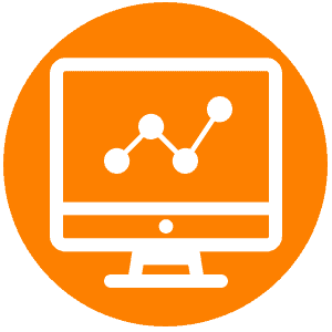 Web/Multimedia Programmer