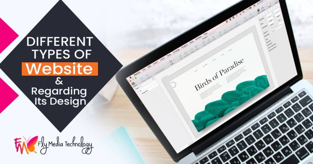 A detailed guide on the different types of website and regarding its design