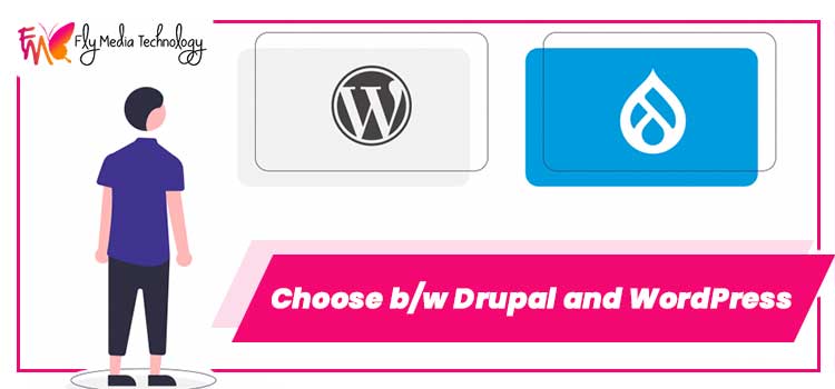 Choose-bw-Drupal-and-WordPress-FLY-MEDIA-PSD