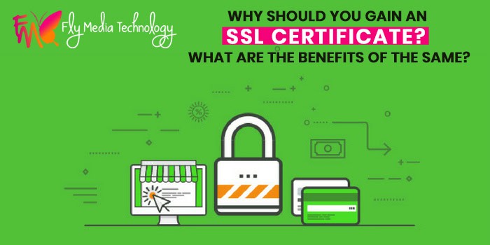 Why-should-you-gain-an-SSL-certificate-What-are-the-benefits-of-the-same